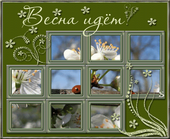 Красивая анимация весна Распустившиеся белые цветы на ветке, картинка любимым Весна идет