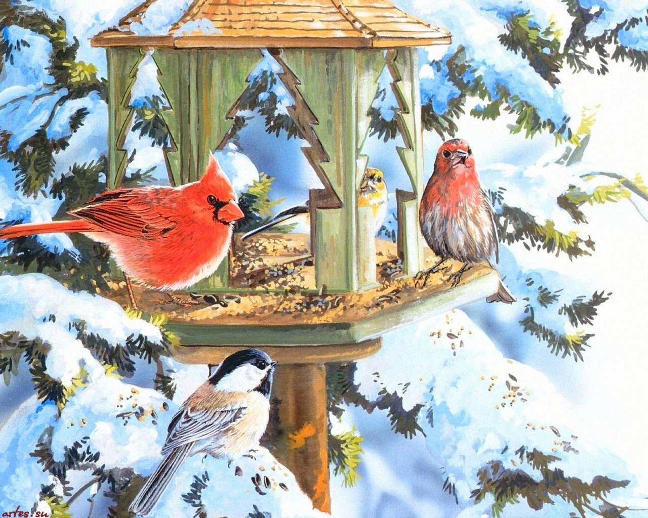 Зимующие птицы: стихи, раскраски, кроссворд