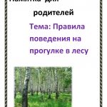 Правила поведения на прогулке в лесу